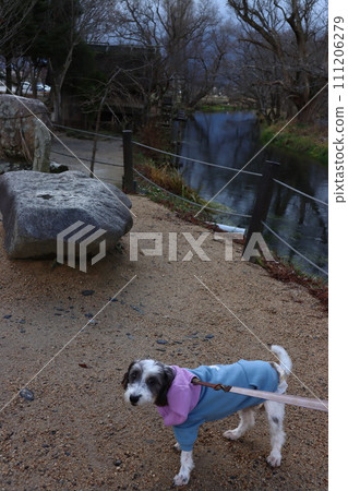 Wasabi Farm 111206279