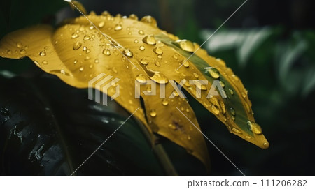 Closeup of Yellow turmeric tropical plant leaves with rain drops. Green natural backdrop. Generative AI 111206282