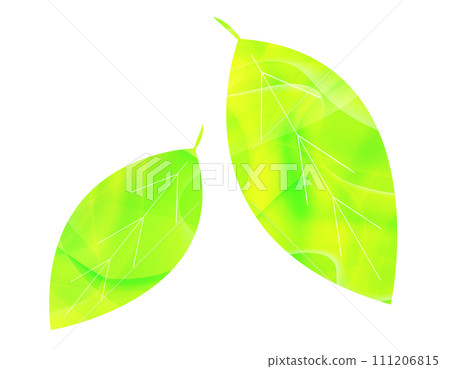 新鮮的綠色背景 綠葉的插圖 新鮮的綠色背景 綠葉的插圖 111206815