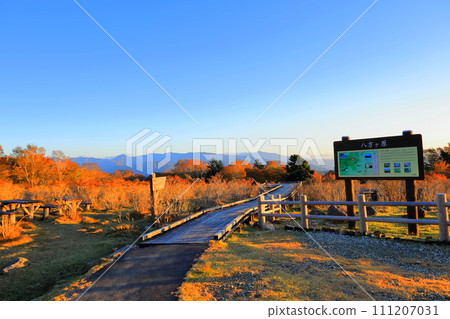 秋葉盛開的八方原禦間台/栃木郡矢板市 秋葉盛開的八方原禦間台/栃木郡矢板市 111207031