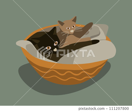 Vector isolated illustration of cats in a basket. 111207800