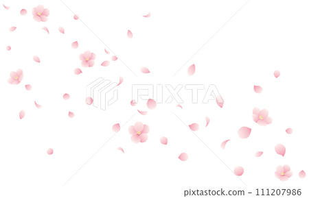 Illustration of a cherry blossom snowstorm with falling cherry blossoms and petals 111207986