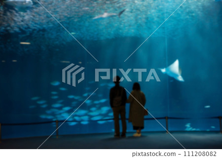 Blur couple view swimming sea fish in Nagoya aquarium Blur couple view swimming sea fish in Nagoya aquarium 111208082