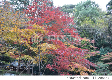 南禪院 南禪院 111208667