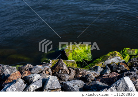 Stones, water, sea, lake and green algae on stones. 111208930