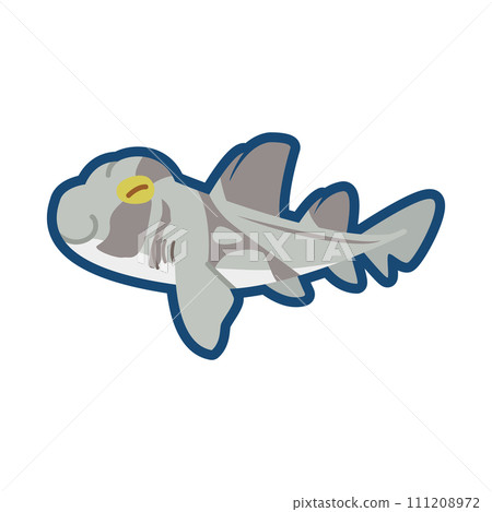 Cute port jackson cat shark illustration 111208972