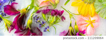 Background of frozen flowers in ice 111209064