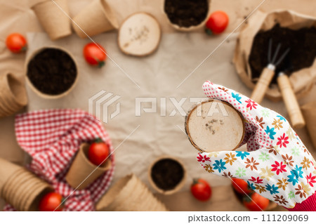 Planting tomato seeds for seedlings 111209069