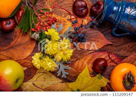 Background. Autumn Decoration Background with chrysanthenum, chestnut, red and blue fruits, small blue jag on leaves. Background. Autumn Decoration Background with chrysanthenum, chestnut, red and blue fruits, small blue jag on leaves. 111209147