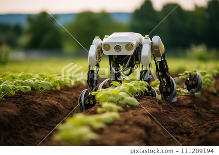 Industrial robot working on a potato field. Future agriculture concept 111209194