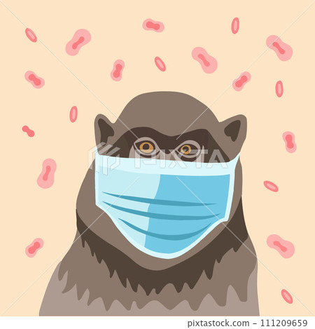 Vector isolated illustration of a monkey in a mask with monkeypox bacteria. Smallpox pandemic. Vector isolated illustration of a monkey in a mask with monkeypox bacteria. Smallpox pandemic. 111209659