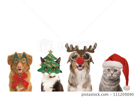 Portraits of  dogs and cats in a row wearing  christmas decoration with space for copy 111209890