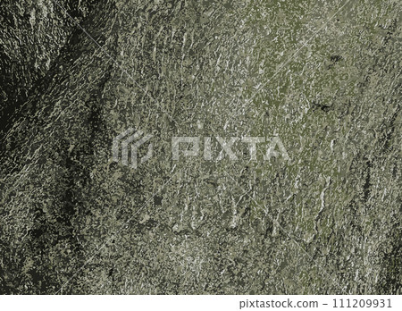 Vector illustration of Cladrastis kentukea tree bark background in sunny weather. Natural leather of nature. 111209931