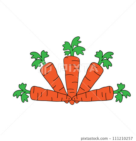 Carrot icon 111210257