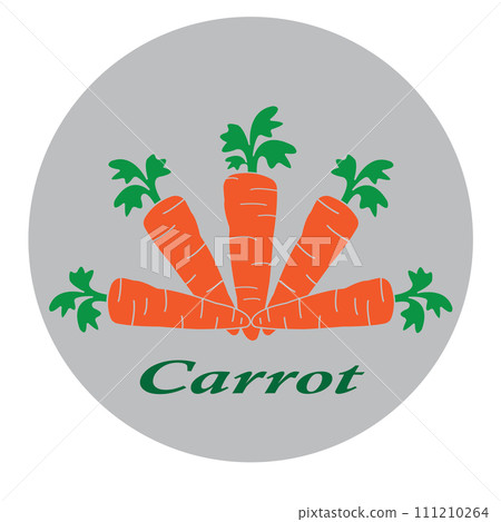 Carrot icon Carrot icon 111210264