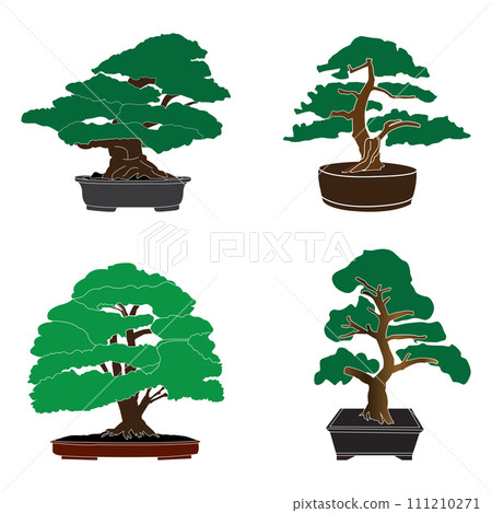 Bonsai icon 111210271