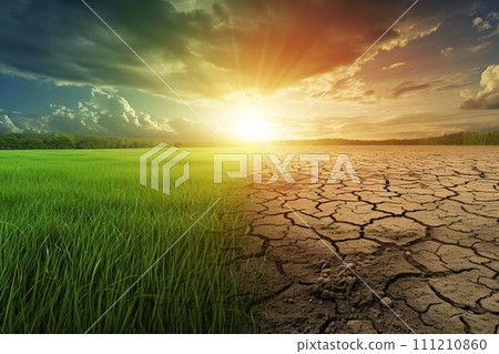 AI-generated content. Field from green grass to thirsty. problem of global warming. Generative AI 111210860