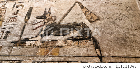 ancient Egyptian hieroglyphs of great quality and variety 111211363