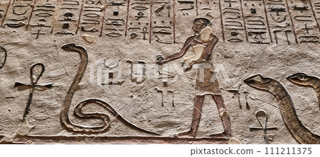 ancient Egyptian hieroglyphs of great quality and variety ancient Egyptian hieroglyphs of great quality and variety 111211375