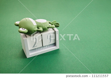 Leap day. Concept for date 29 month February Leap day. Concept for date 29 month February 111211557