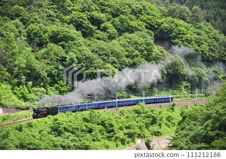 上越線 上牧水上 JR 東日本 D51-498+12 系列（高崎） SL 水上 111212186