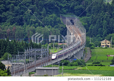 上越新幹線 上毛高原-高崎 JR東日本 E1系列（新潟） Max Toki Max Tanikawa 111212189