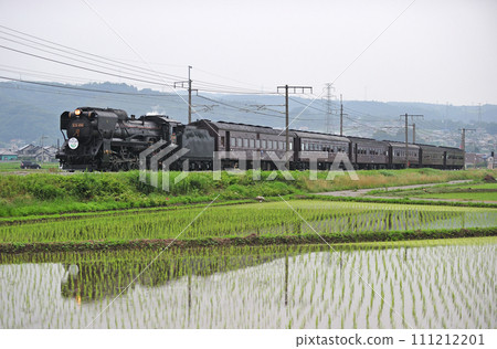 高崎線 涉川八木原 JR 東日本 D51-498 + 老顧客(高崎)SL Gugut 群馬 高崎線 涉川八木原 JR 東日本 D51-498 + 老顧客(高崎)SL Gugut 群馬 111212201