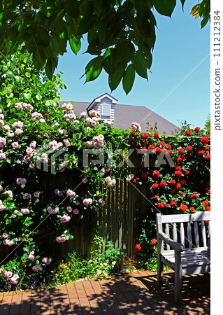 Garden terrace with blooming roses Garden terrace with blooming roses 111212384
