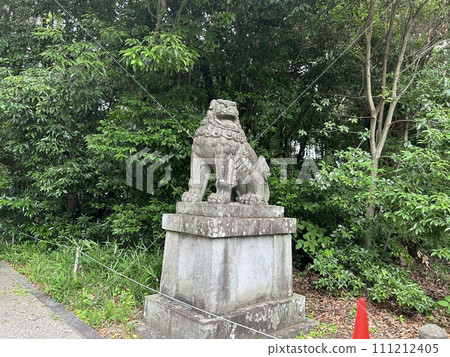 This is A on the right, a guardian dog at Kamayama Shrine, a shrine in Wakayama City, Wakayama Prefecture. 111212405