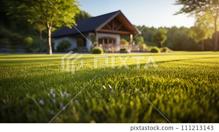 AI-generated content. The golden sunlight of the evening casting a warm glow on the velvety grass of a spacious backyard 111213143