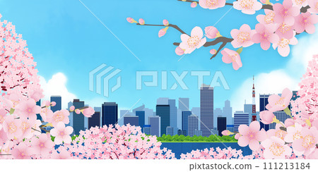 Cherry blossoms in bloom, a cityscape with blue skies and cherry blossoms 111213184