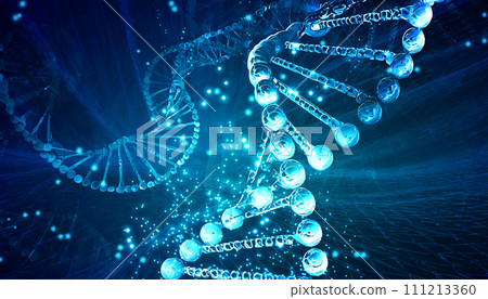 抽象基因序列背景 抽象基因序列背景 111213360