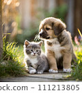 Puppy and kitten in a friendly photo AI-generated material 111213805