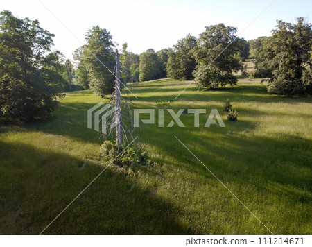 Small meadow, with wild plants, and old trees, next to the main Small meadow, with wild plants, and old trees, next to the main 111214671