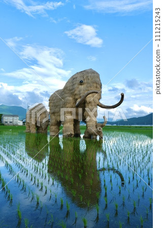 Straw mammoth in Uwa-cho, Seiyo City 111215243
