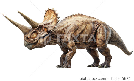 三角龍的圖像 - No6-11- 111215675