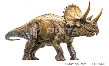 Image of Triceratops - No6-4- 111215688