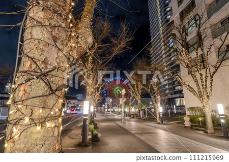 Illuminations from Kobe Gaslight Street to Harbor Road, Kobe City, Hyogo Prefecture 111215969