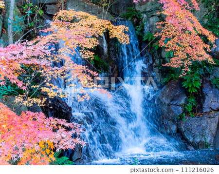 Refreshing waterfall and vivid autumn leaves Refreshing waterfall and vivid autumn leaves 111216026