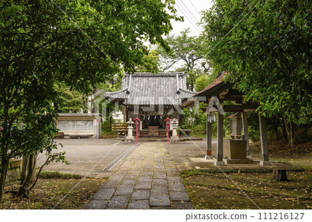 被新綠環繞的神社境內 被新綠環繞的神社境內 111216127