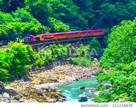 新鮮的綠色保津京和無軌電車 111216636