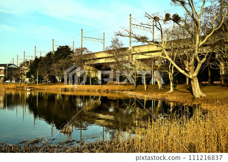 Daimoike Park in winter Daimoike Park in winter 111216837