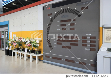 Japan's first flower machine auction system Ota market flower market Japan's first flower machine auction system Ota market flower market 111216847