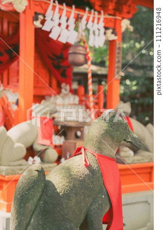 日本神社夏季守護犬 日本神社夏季守護犬 111216948