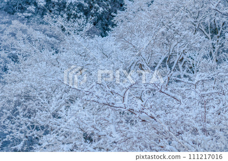mountain covered in hoarfrost 111217016
