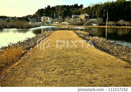 冬天的大茂池公園 冬天的大茂池公園 111217292