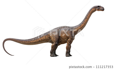 梁龍 No4-11 的圖像 梁龍 No4-11 的圖像 111217353