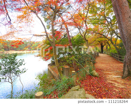 六甲山、二田公園和日本歷史公園 100 選之一的鹽原池的秋葉 111218264