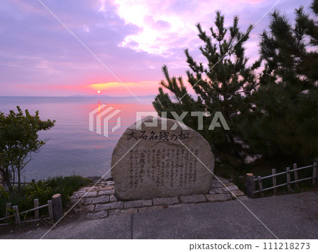 Ako Misaki, a distant view of the morning sun and Ieshima Islands seen from the ``Oishi Remnant Pine'' 111218273