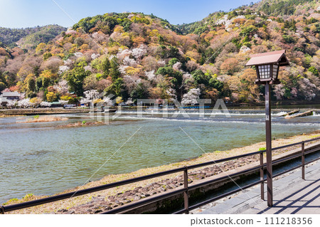 Spring Kyoto Arashiyama cherry blossom view 111218356
